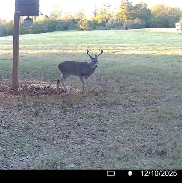 3713 County Road 386