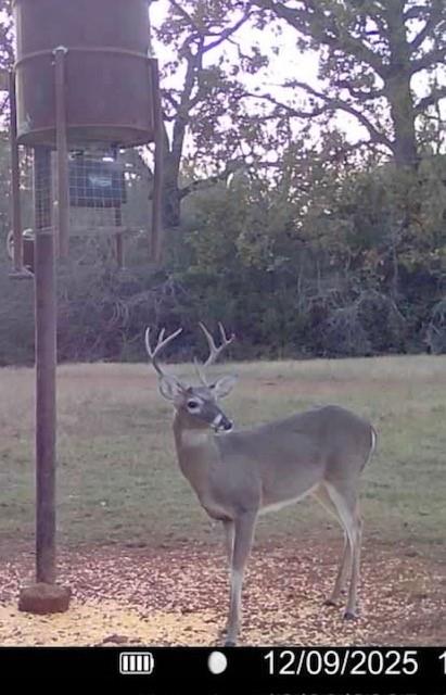 3713 County Road 386