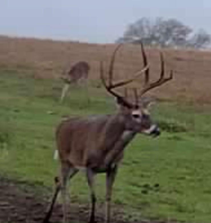 3713 County Road 386