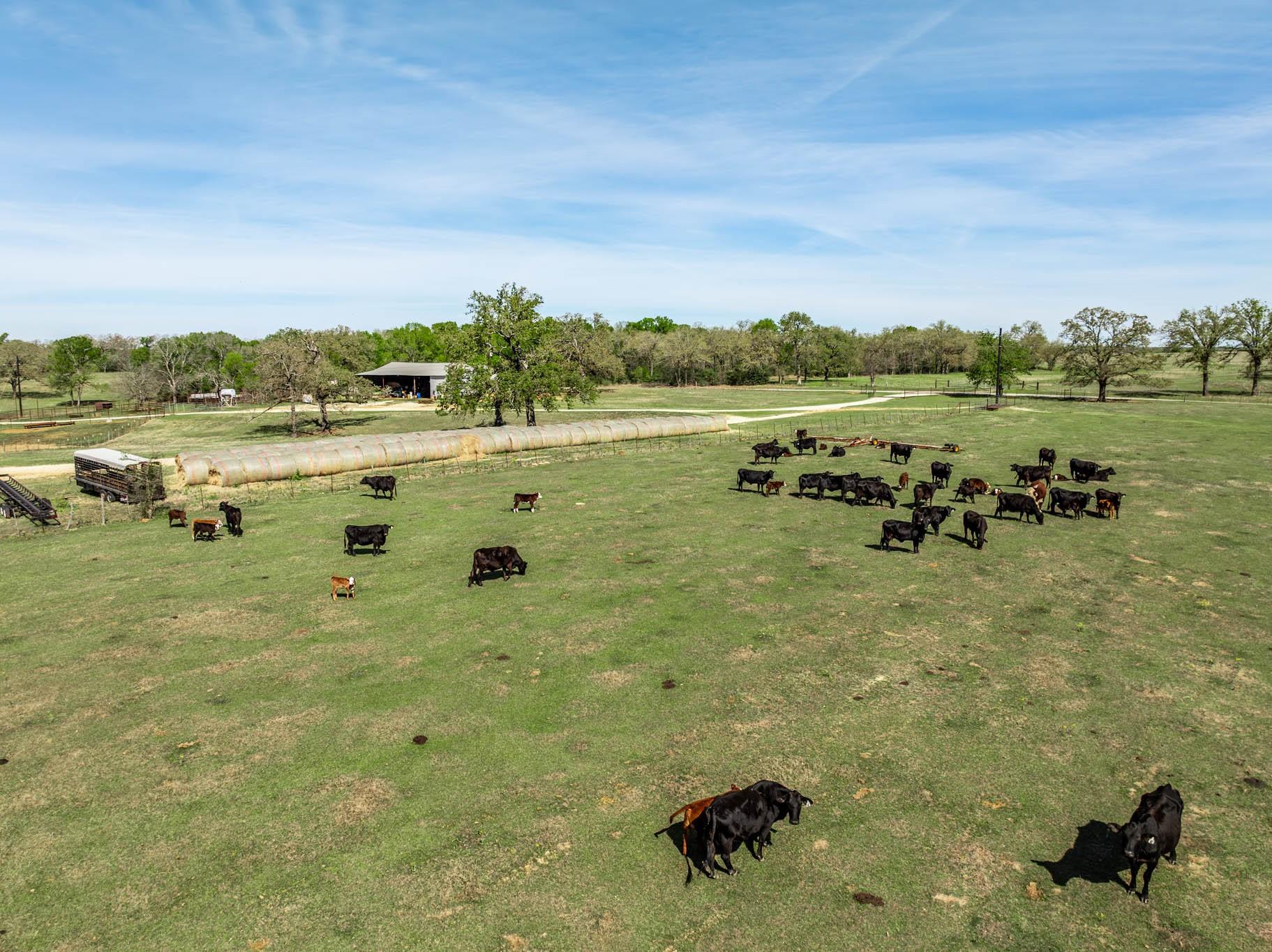 3713 County Road 386