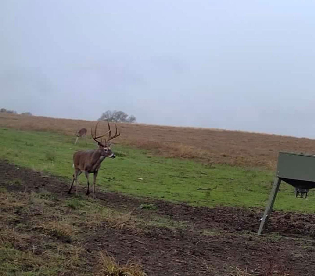 3713 County Road 386