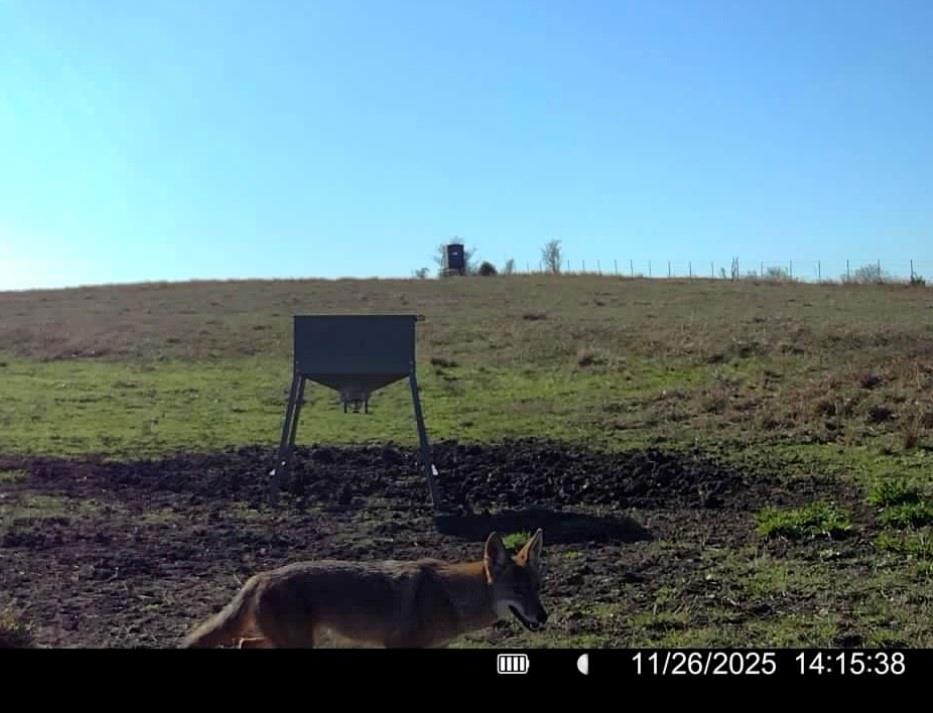 3713 County Road 386