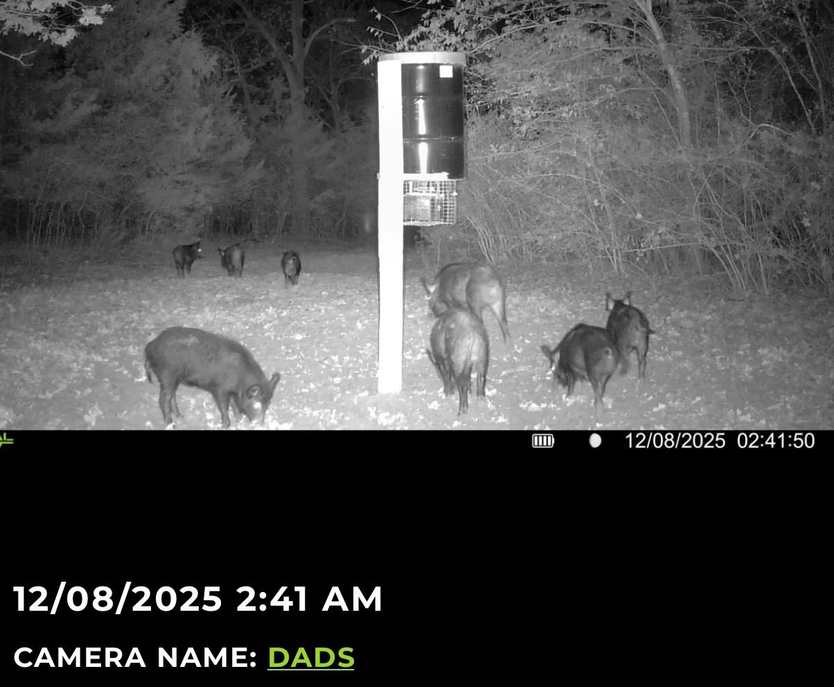 3713 County Road 386