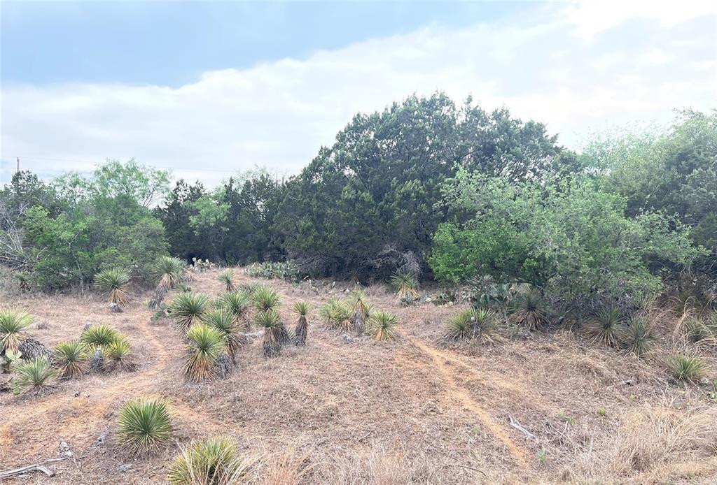 Lot 283 & 284 Briarway DR