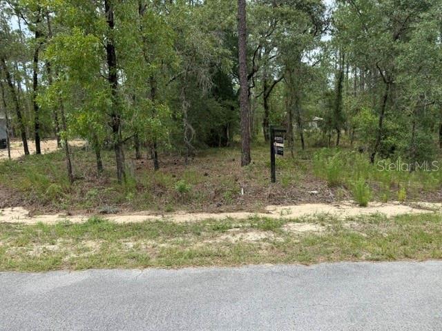 DUNNELLON