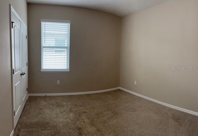 1437 TAWNY RIDGE RD