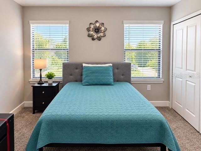 4797 TERRA ESMERALDA DR