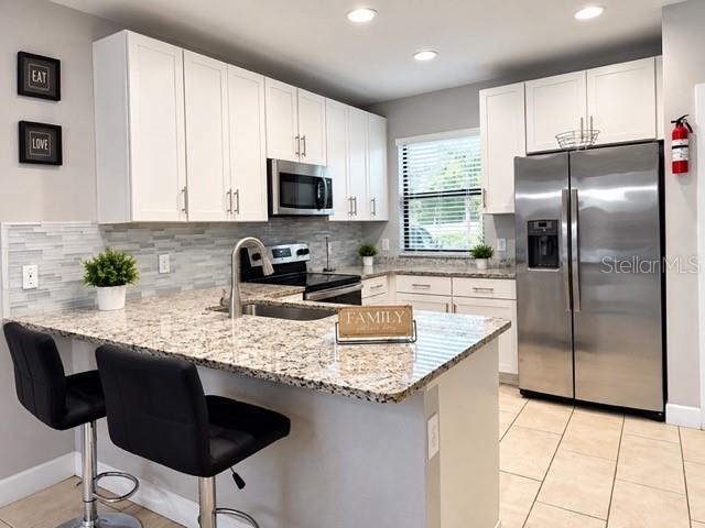 4797 TERRA ESMERALDA DR