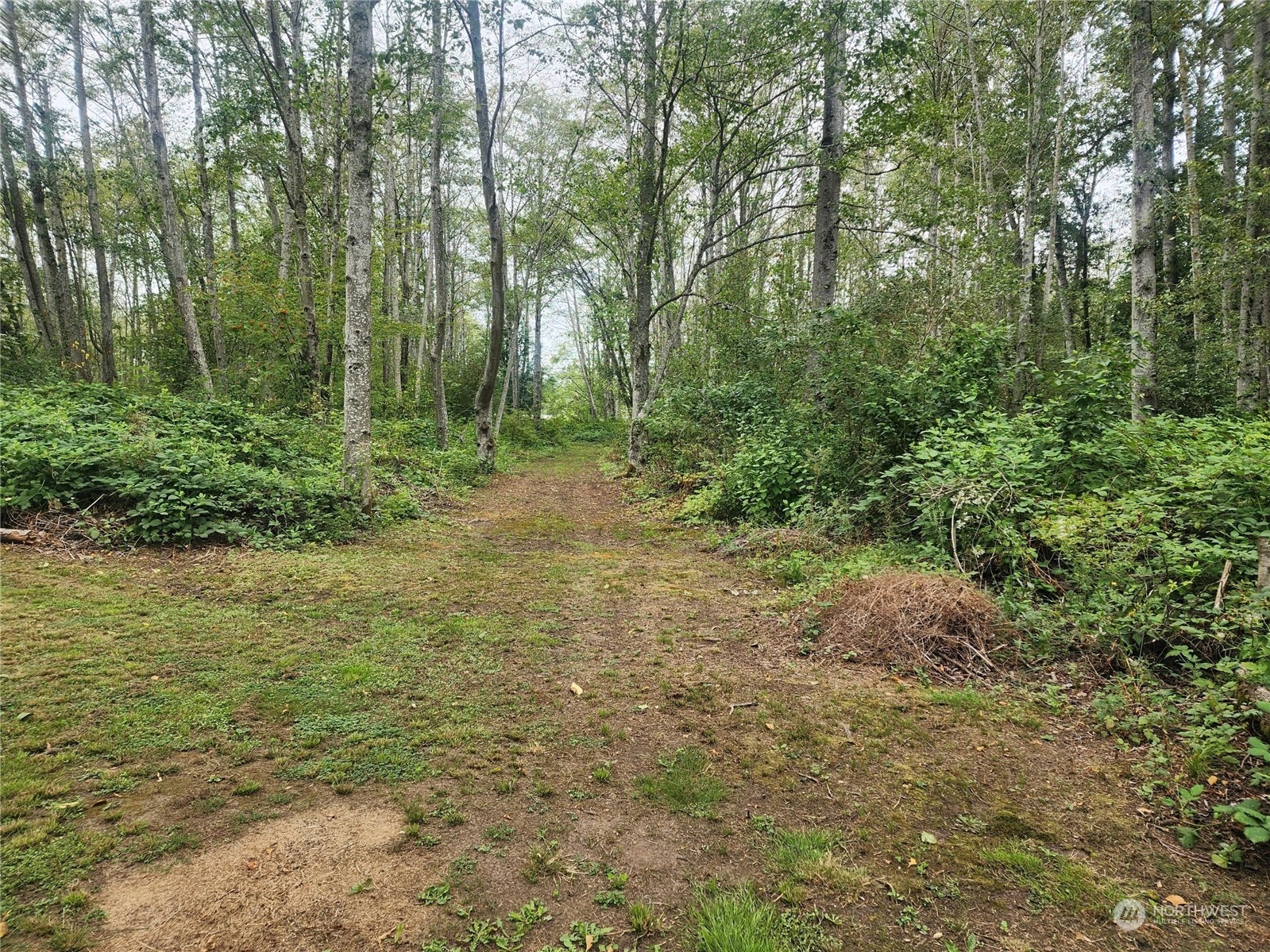 3578 slater Road