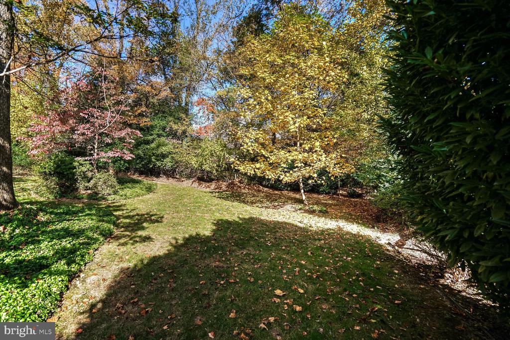 3235 BETSY LANE
