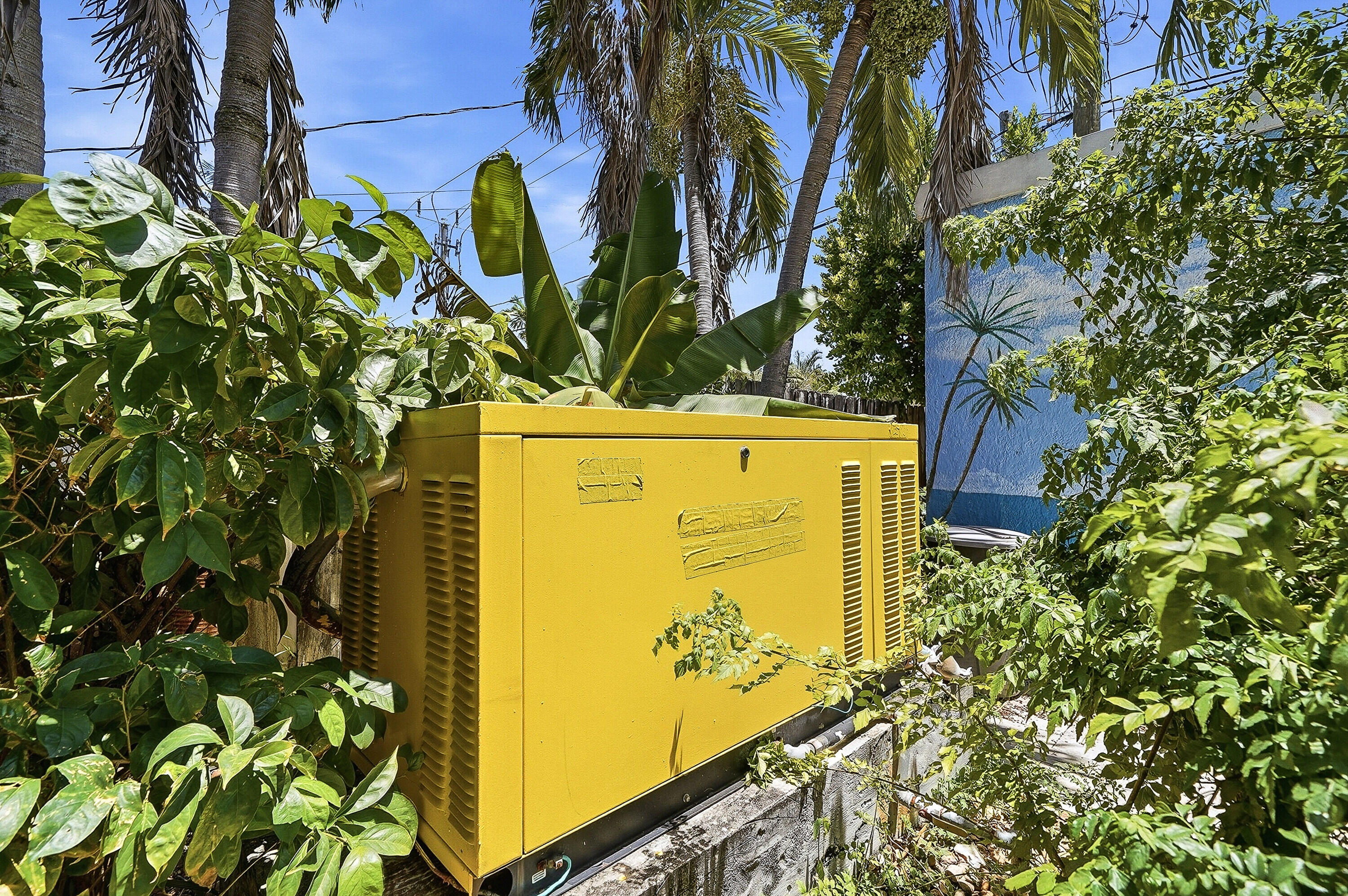 1658 JACKSON Street