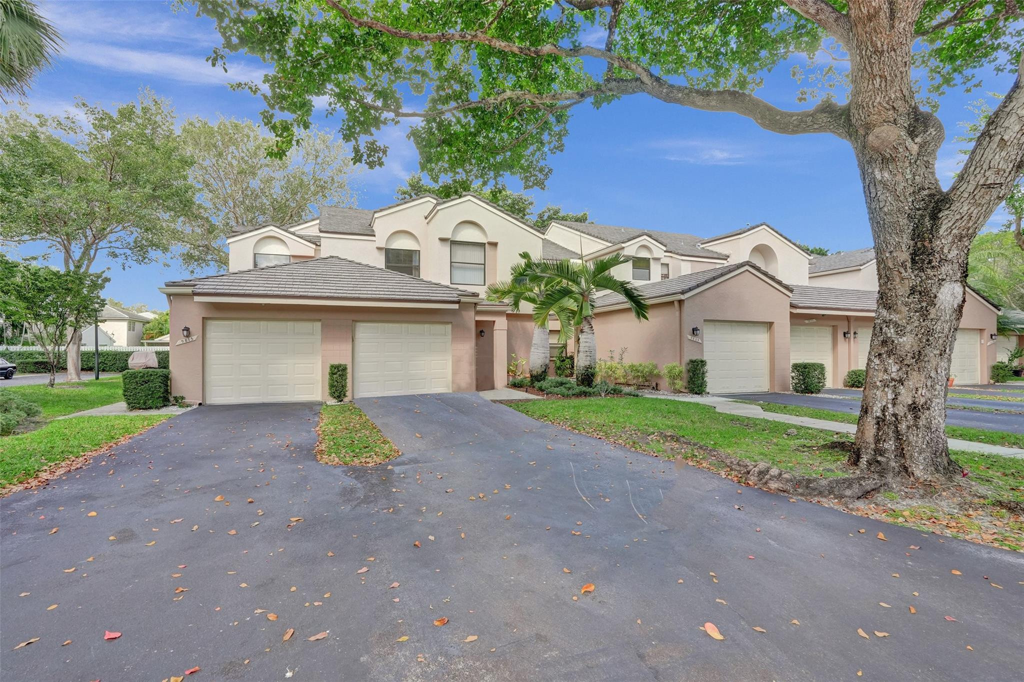 Attached stucco homes with garages, framed by a large shade tree and palm trees.