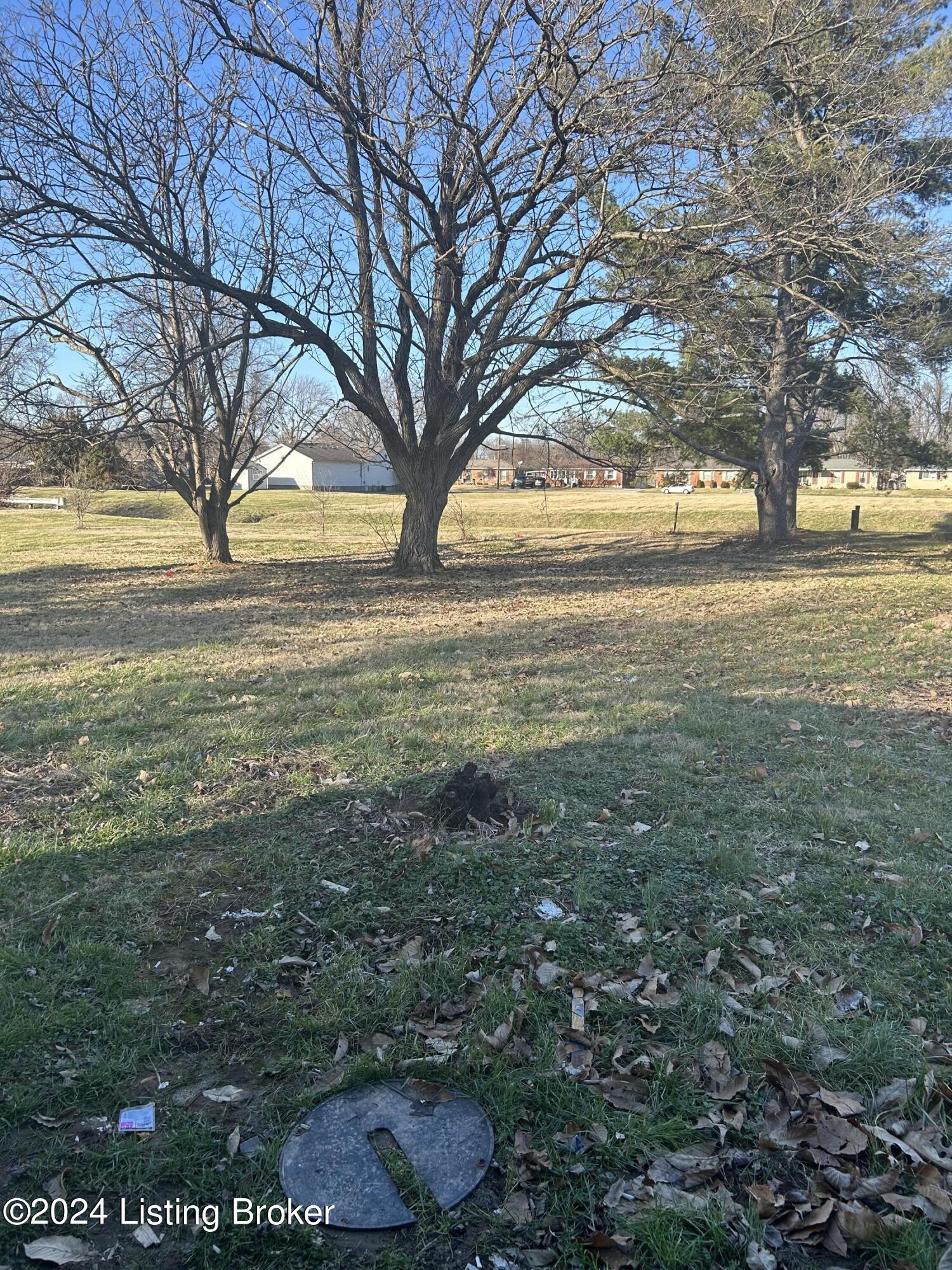 1933 Lower Hunters Trace