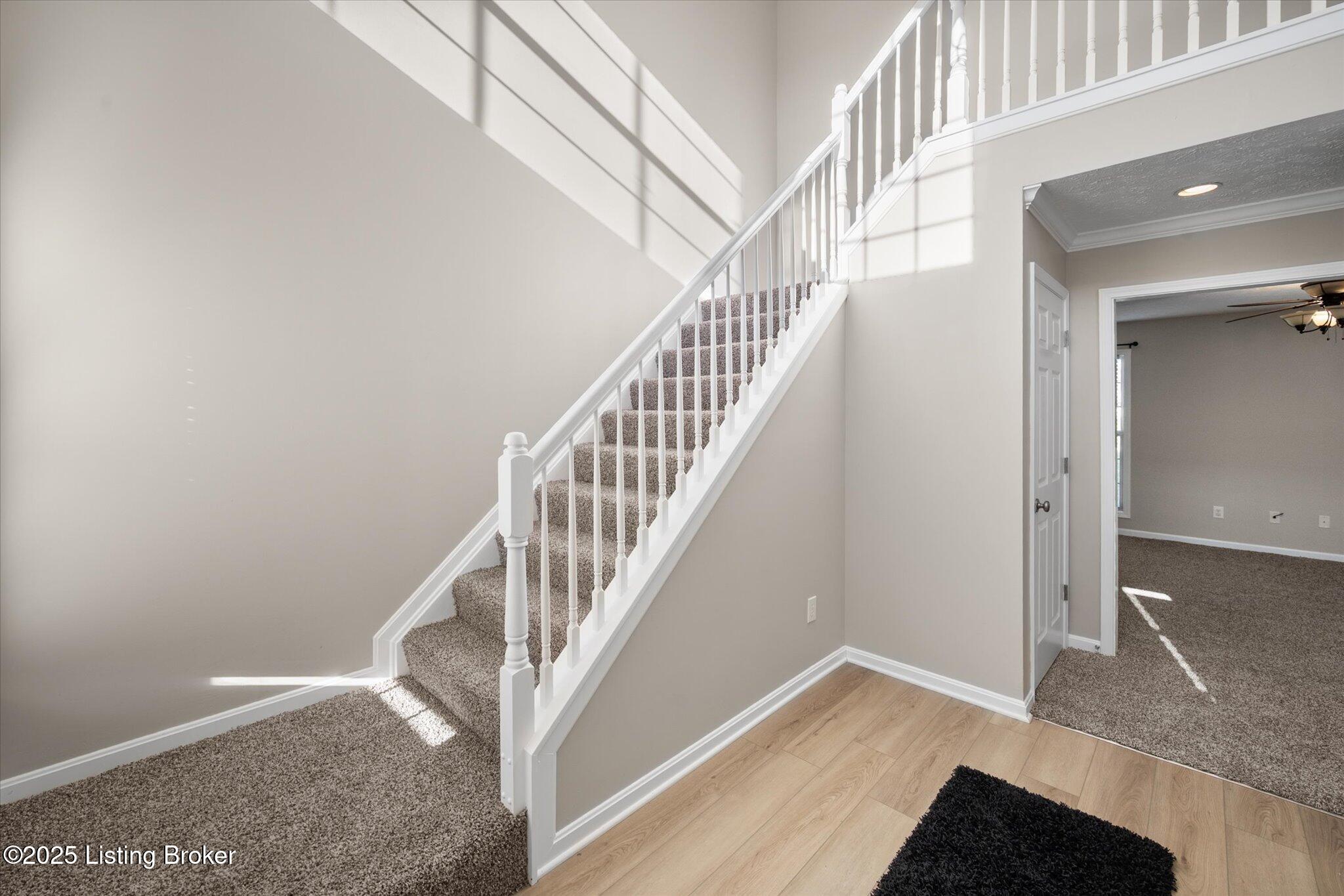 6910 Caitlynn Way