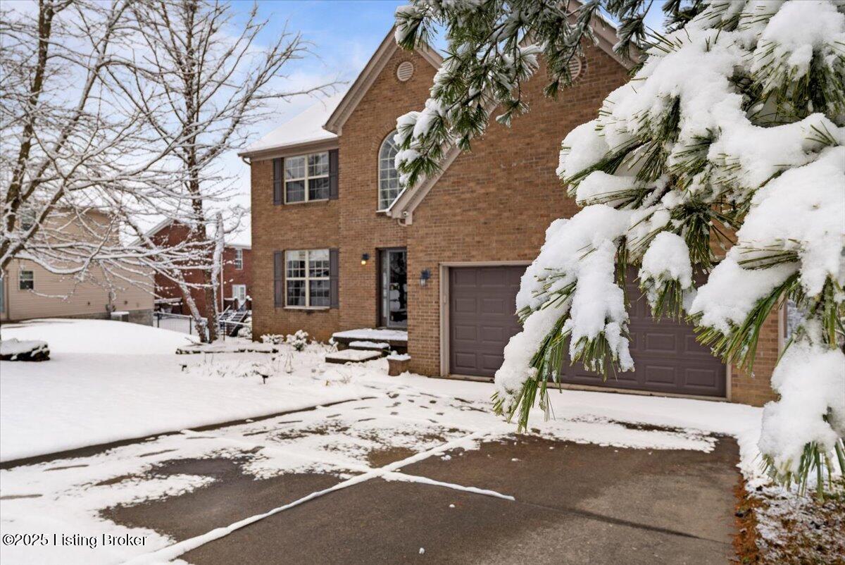 11429 Top Walnut Loop