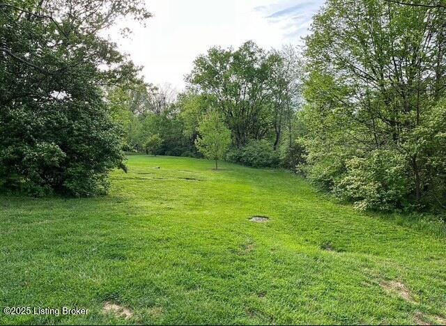 125 Buffalo Hill