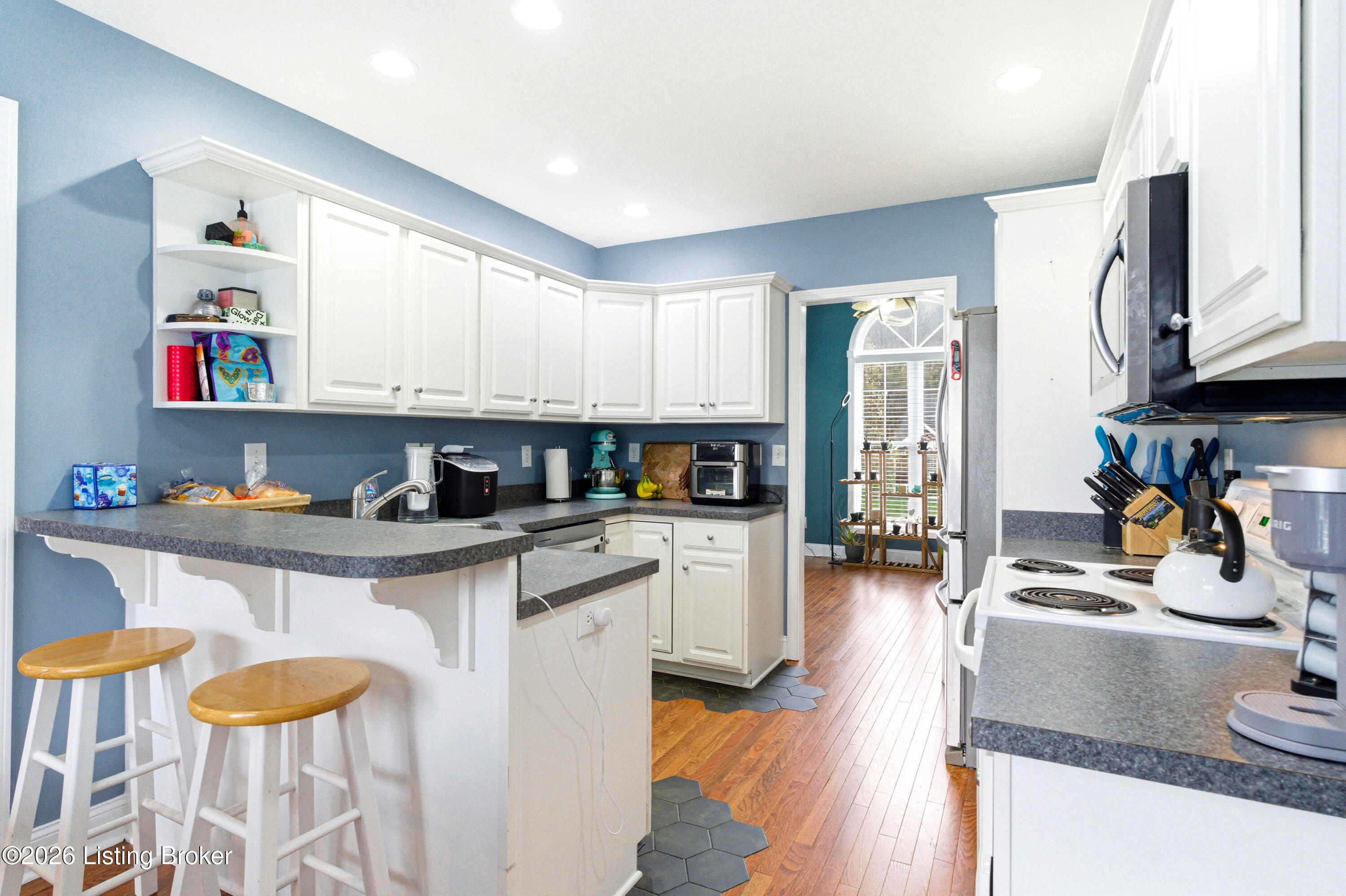 517 Chieftain Dr