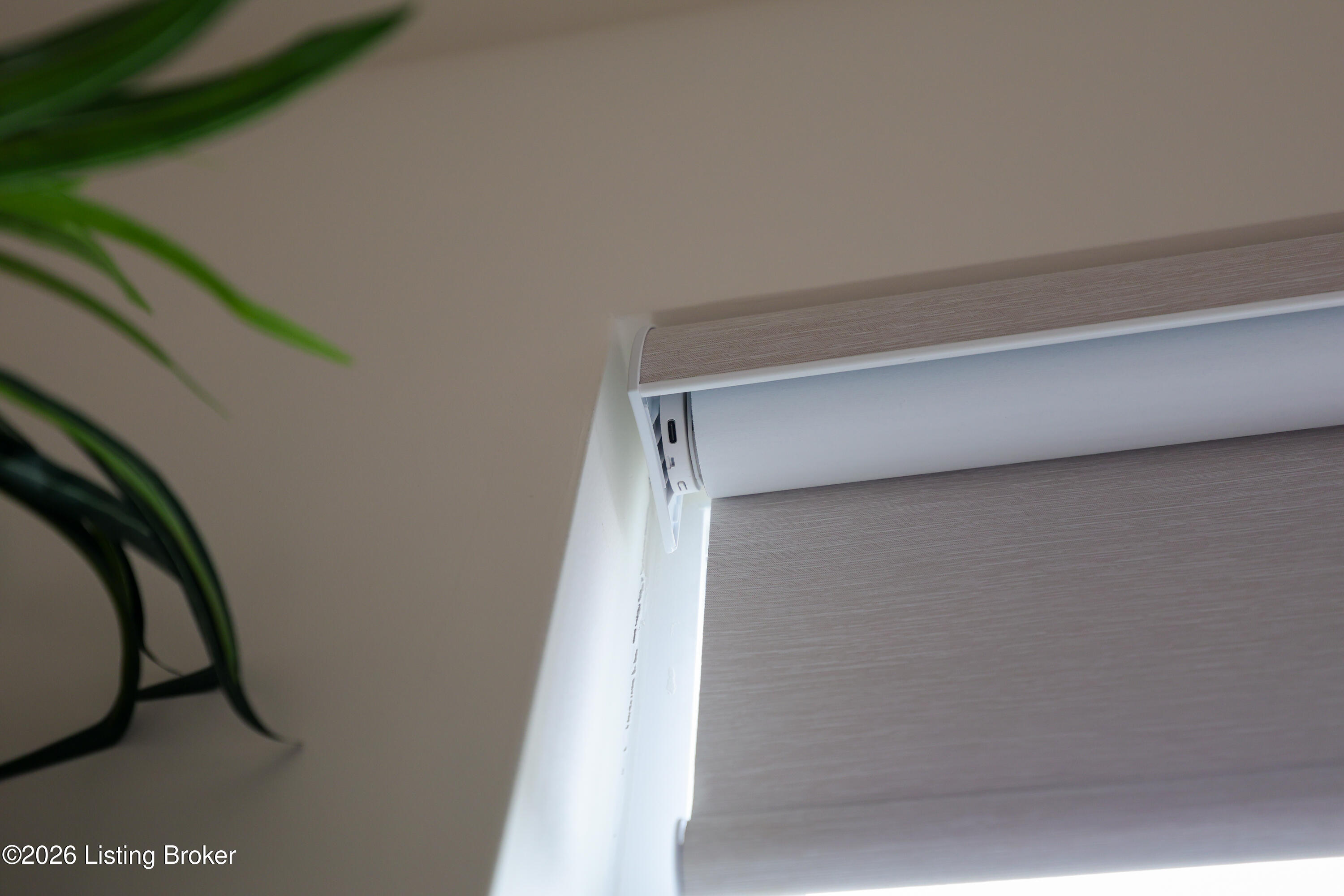 11946 Cascade Falls Trail