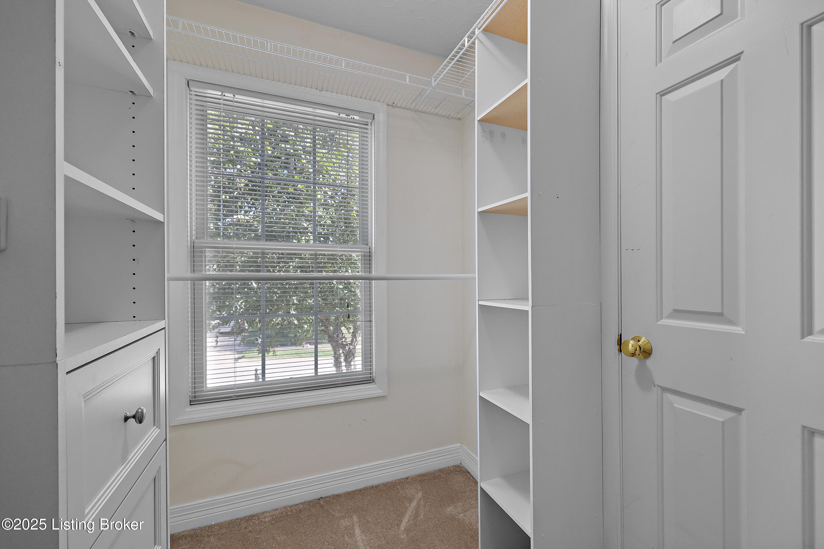 4428 Fallen Apple Ln