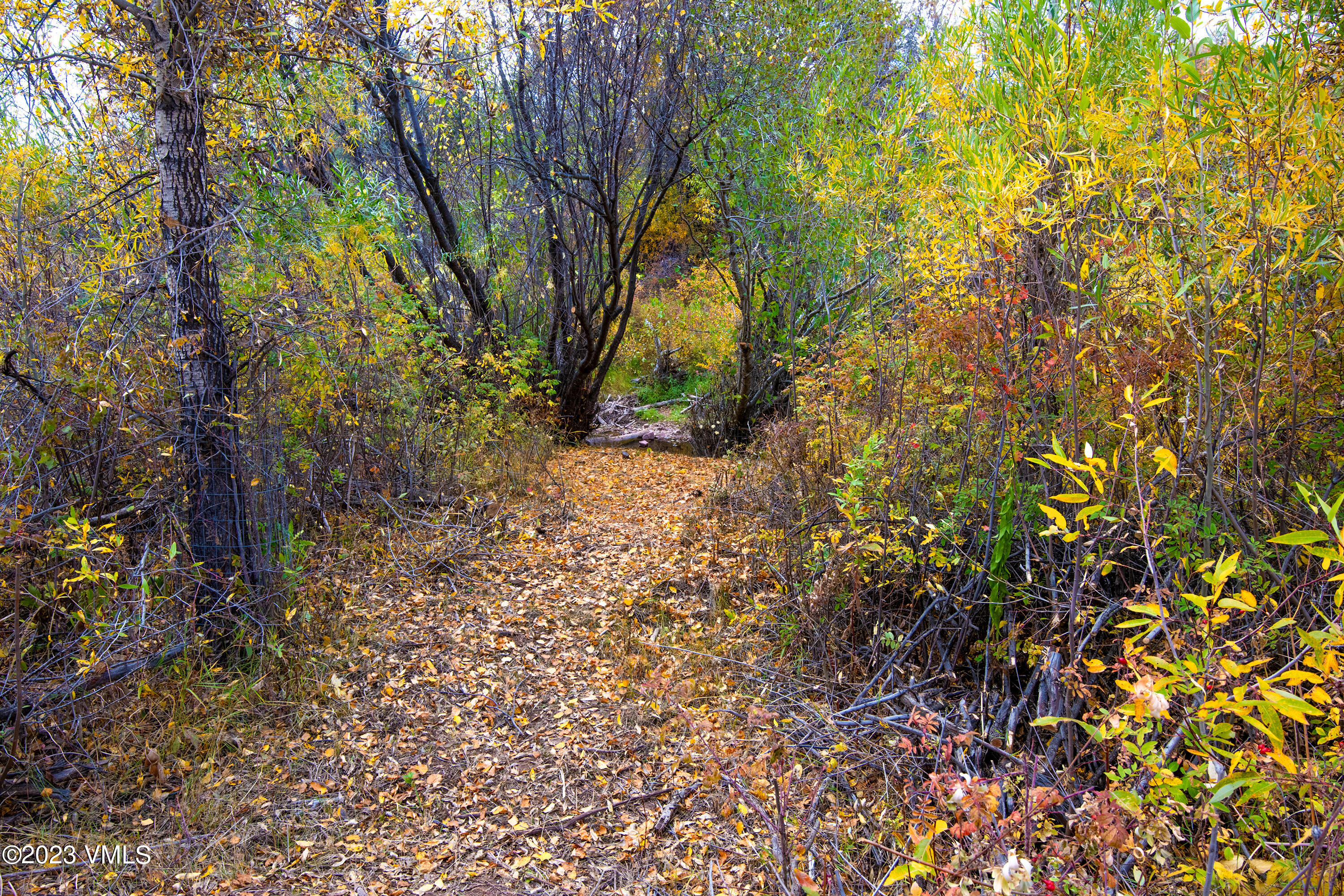 1950 Eby Creek Road