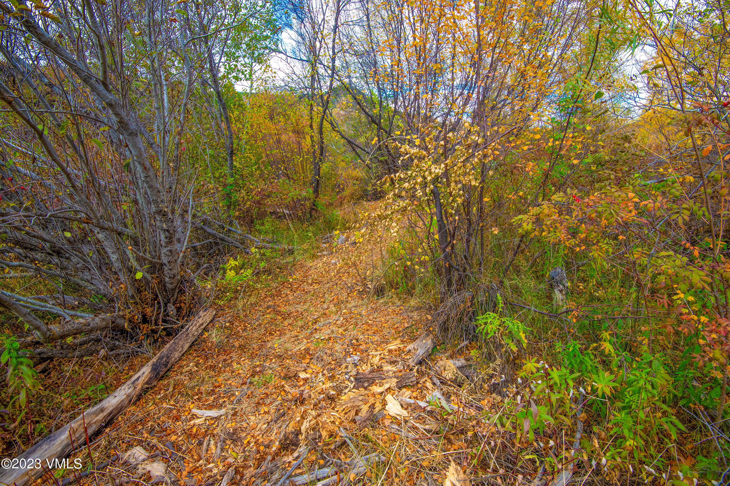1950 Eby Creek Road