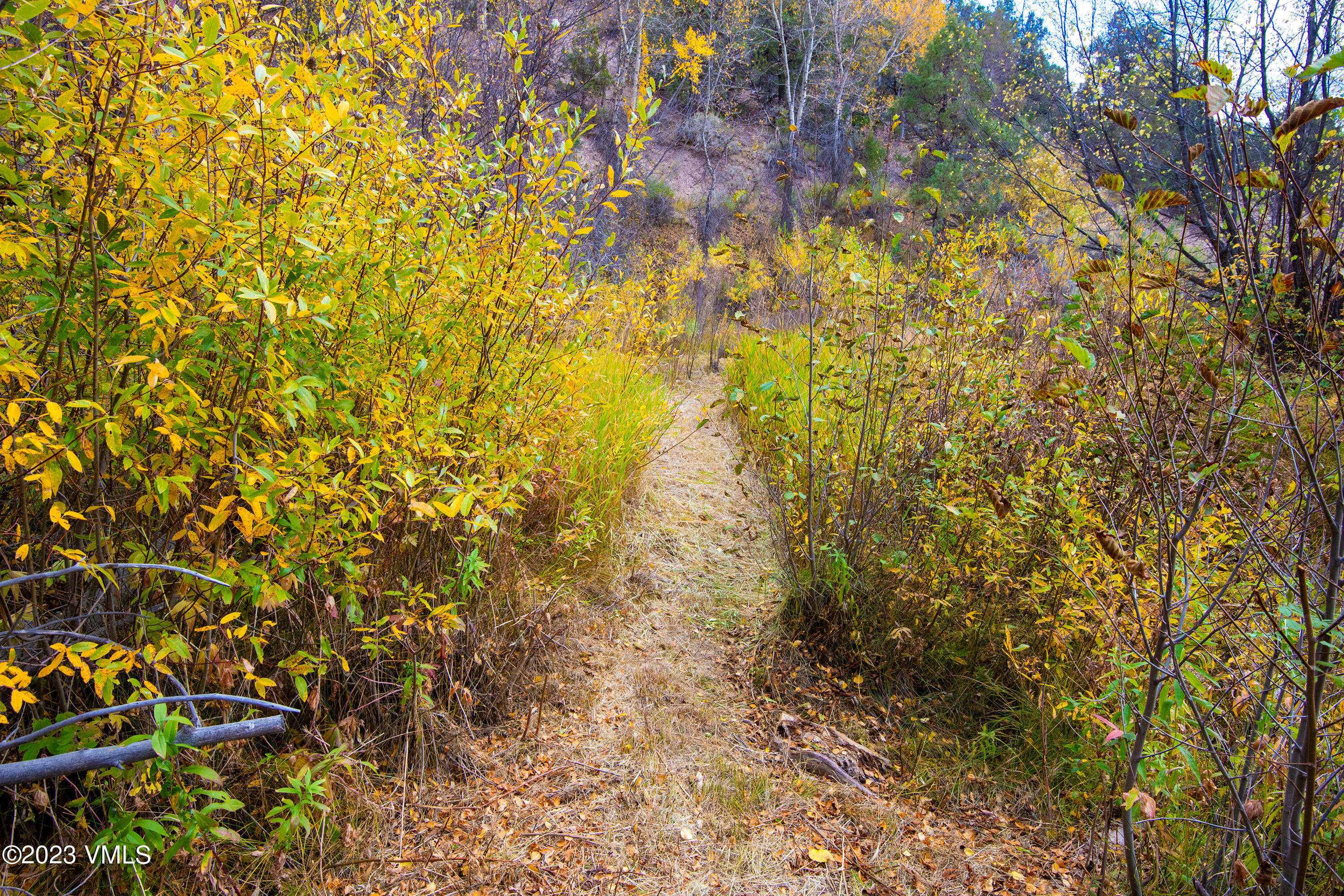 1950 Eby Creek Road