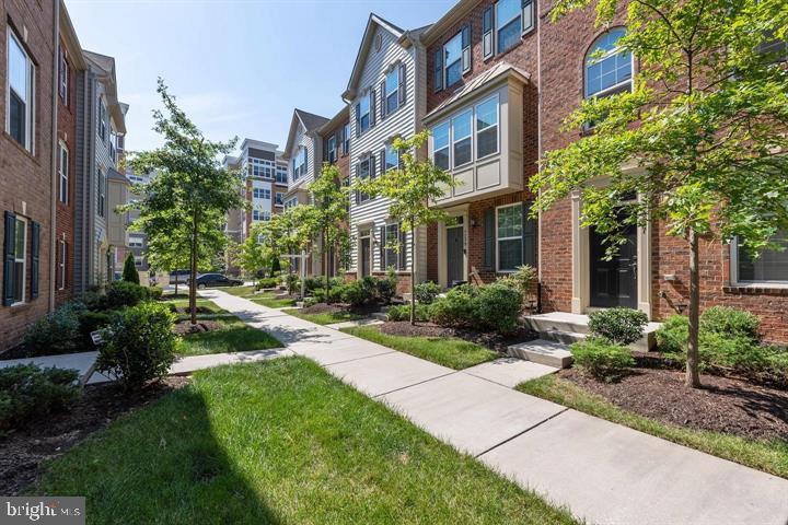 7241 YESTERDAY LANE