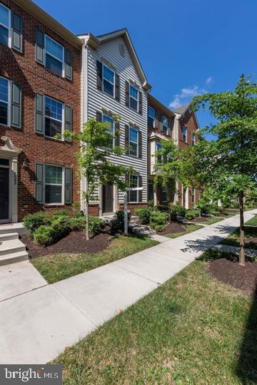 7241 YESTERDAY LANE