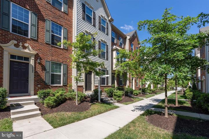 7241 YESTERDAY LANE