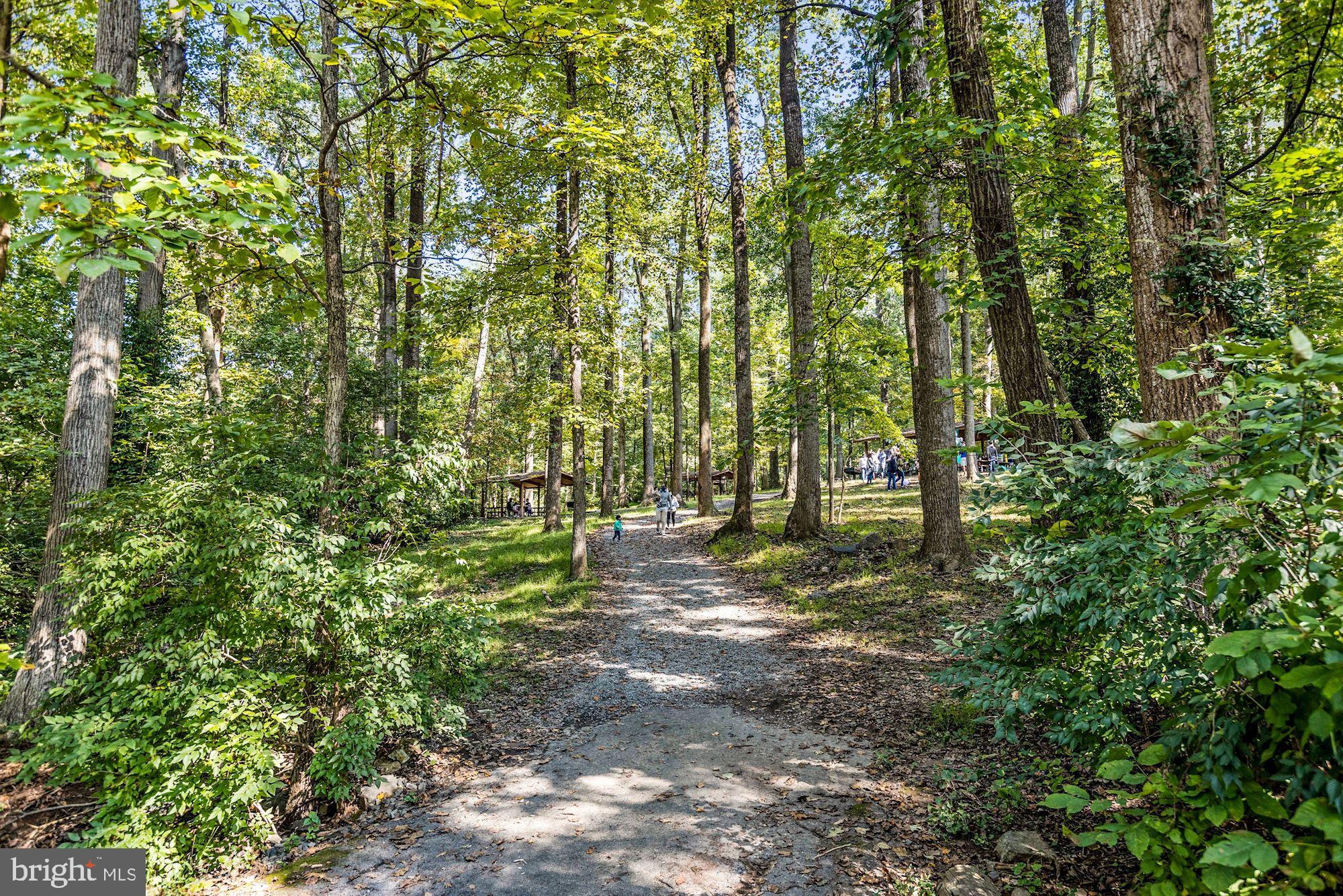 5343 POOKS HILL ROAD 403-53