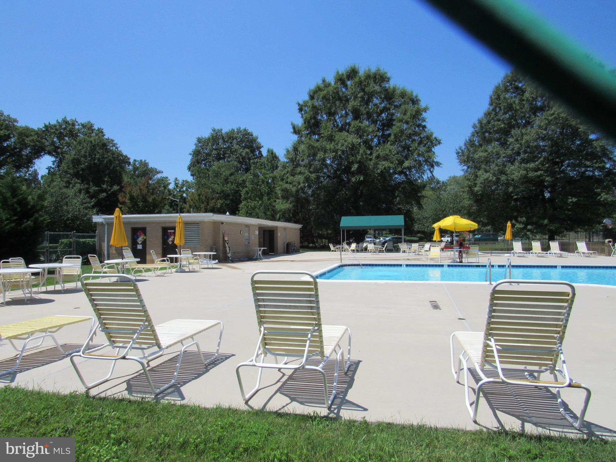 1225 MARTHA CUSTIS DRIVE 513