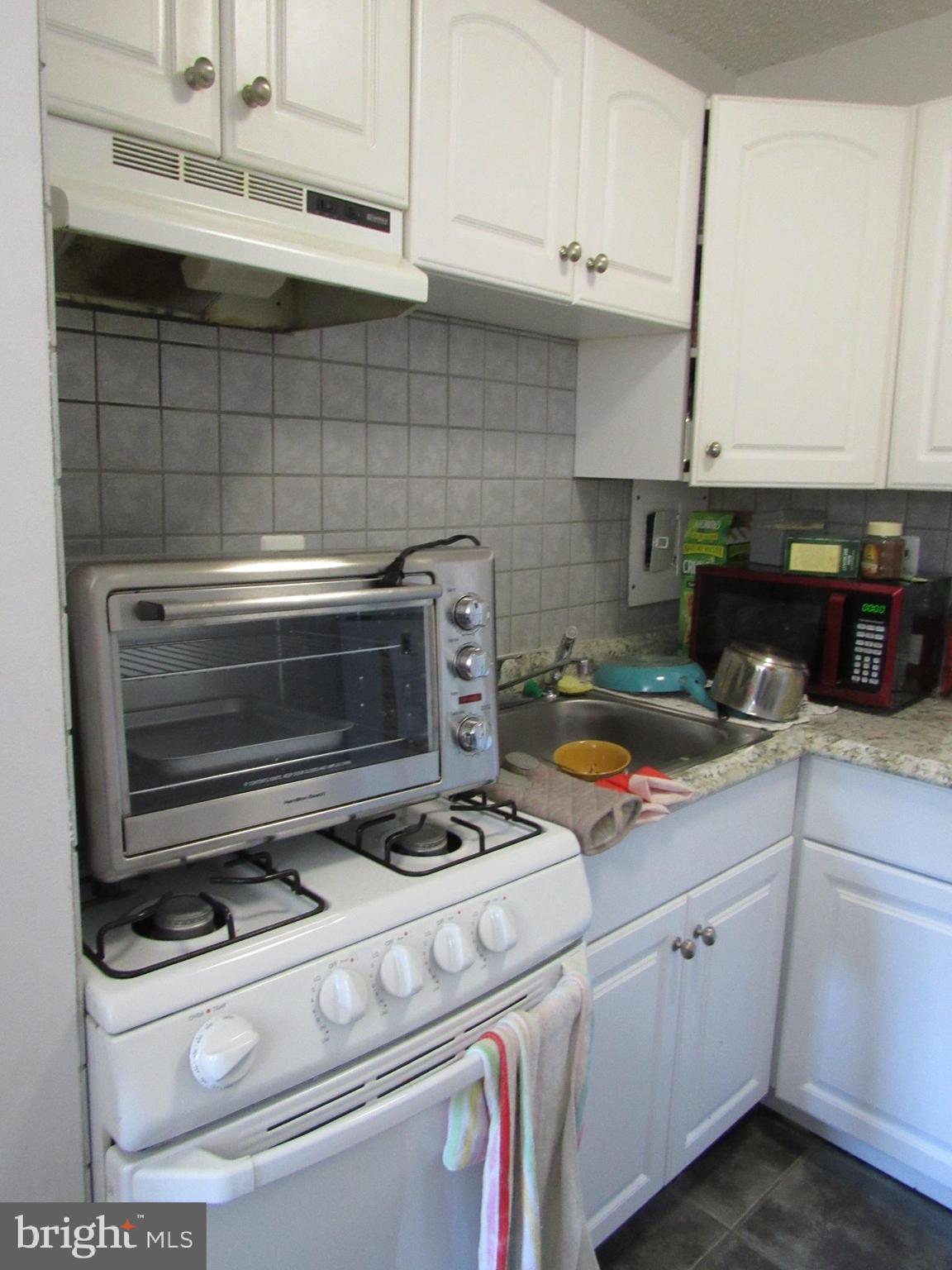 1225 MARTHA CUSTIS DRIVE 513