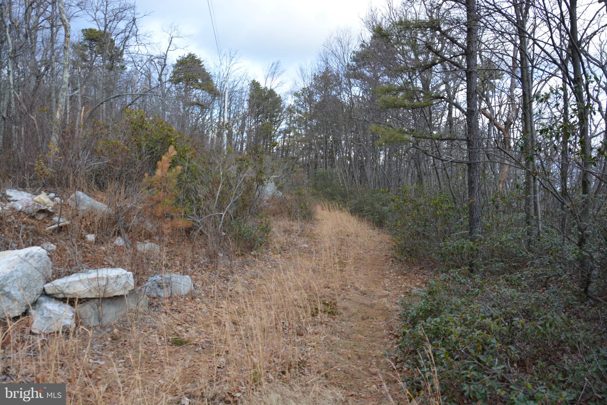 ROCKWOOD TRAIL 49.61 ACRES