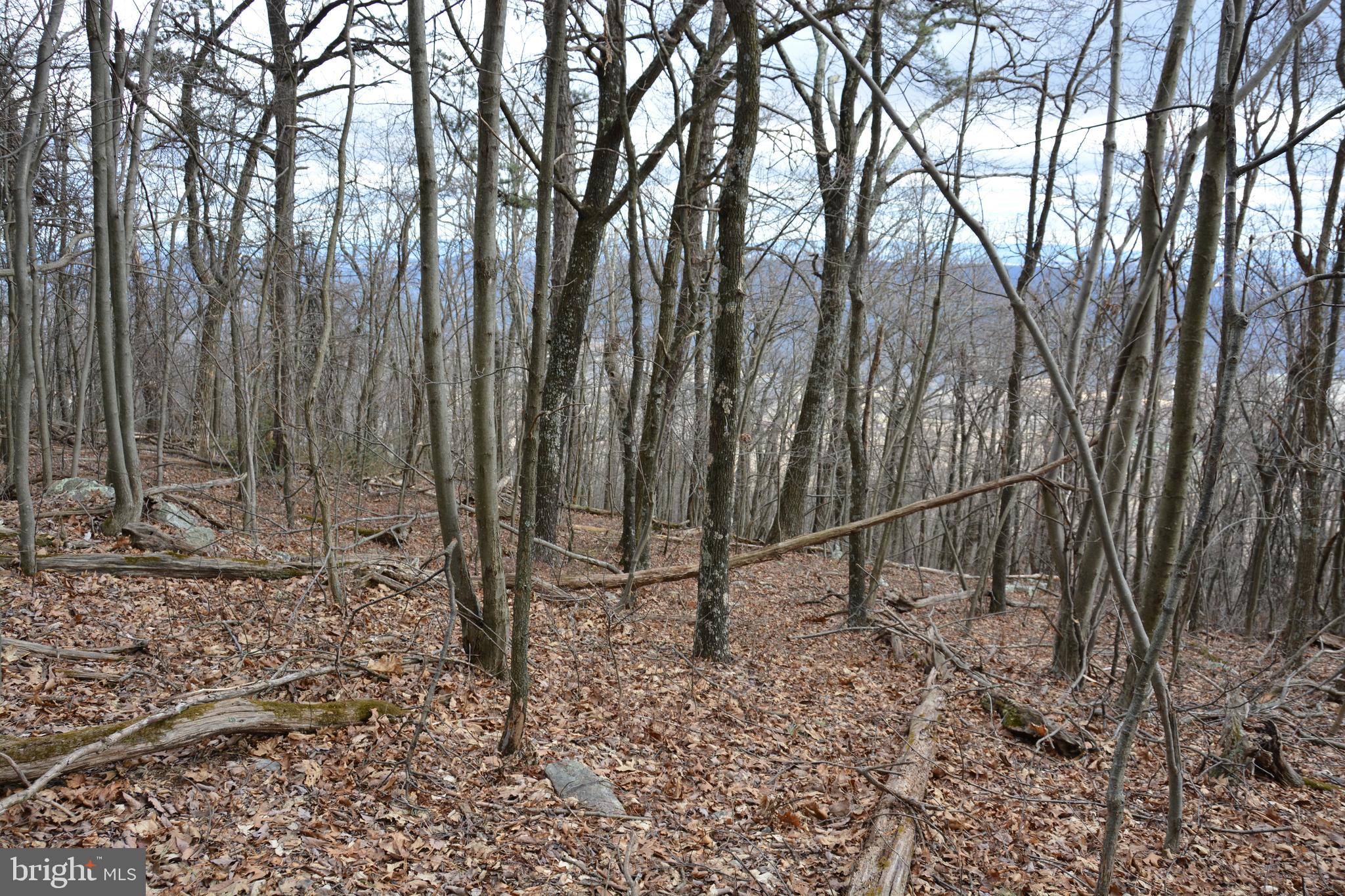ROCKWOOD TRAIL 49.61 ACRES