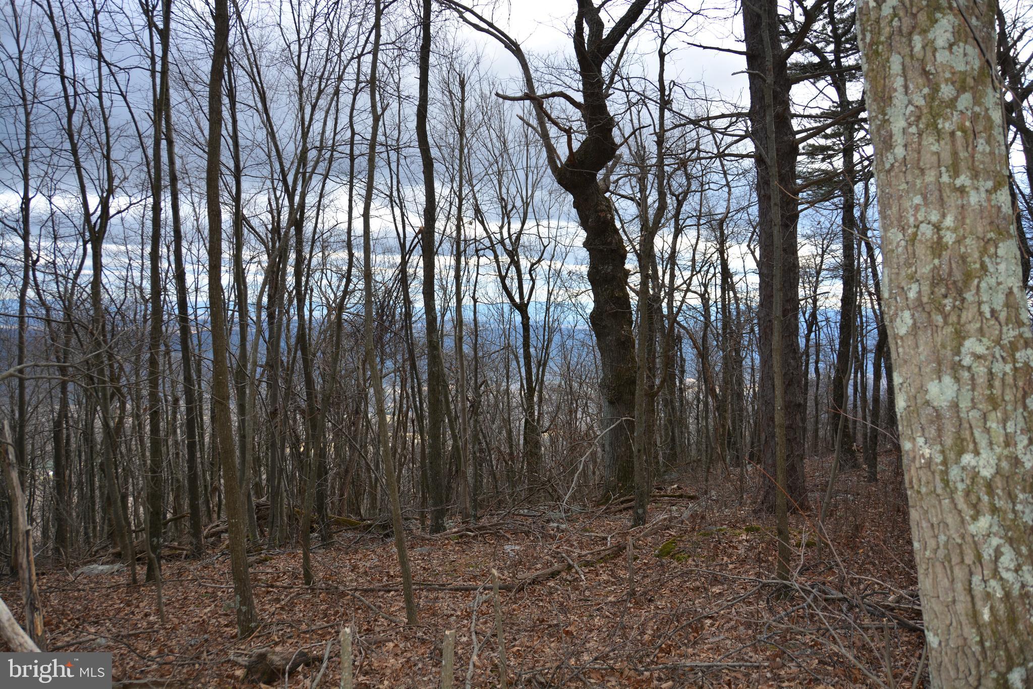 ROCKWOOD TRAIL 49.61 ACRES