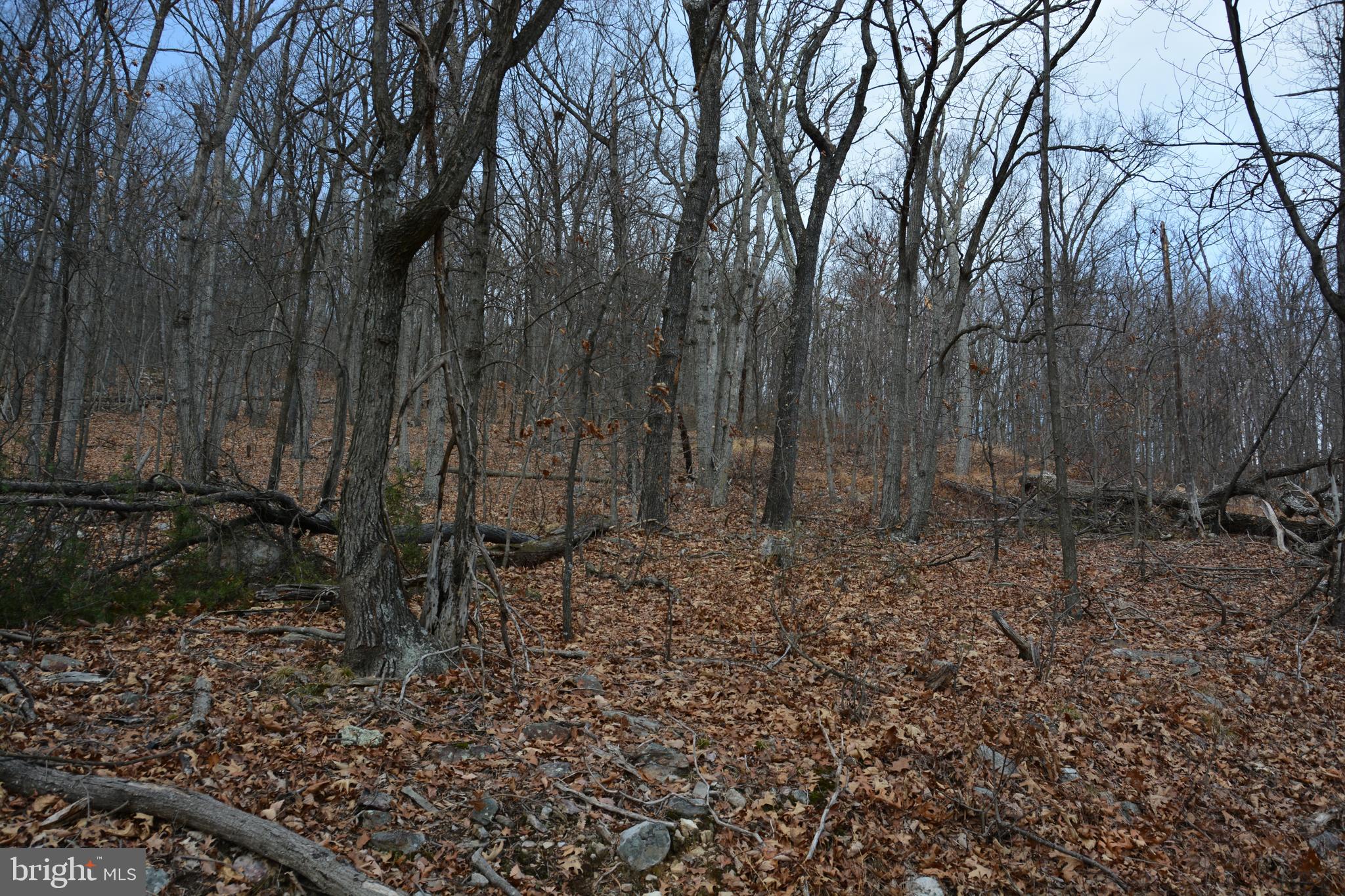 ROCKWOOD TRAIL 49.61 ACRES