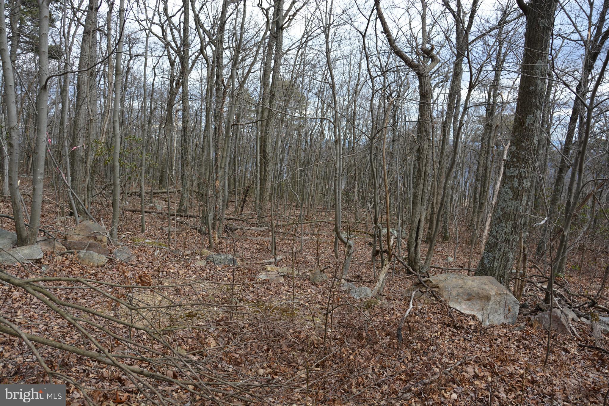 ROCKWOOD TRAIL 49.61 ACRES