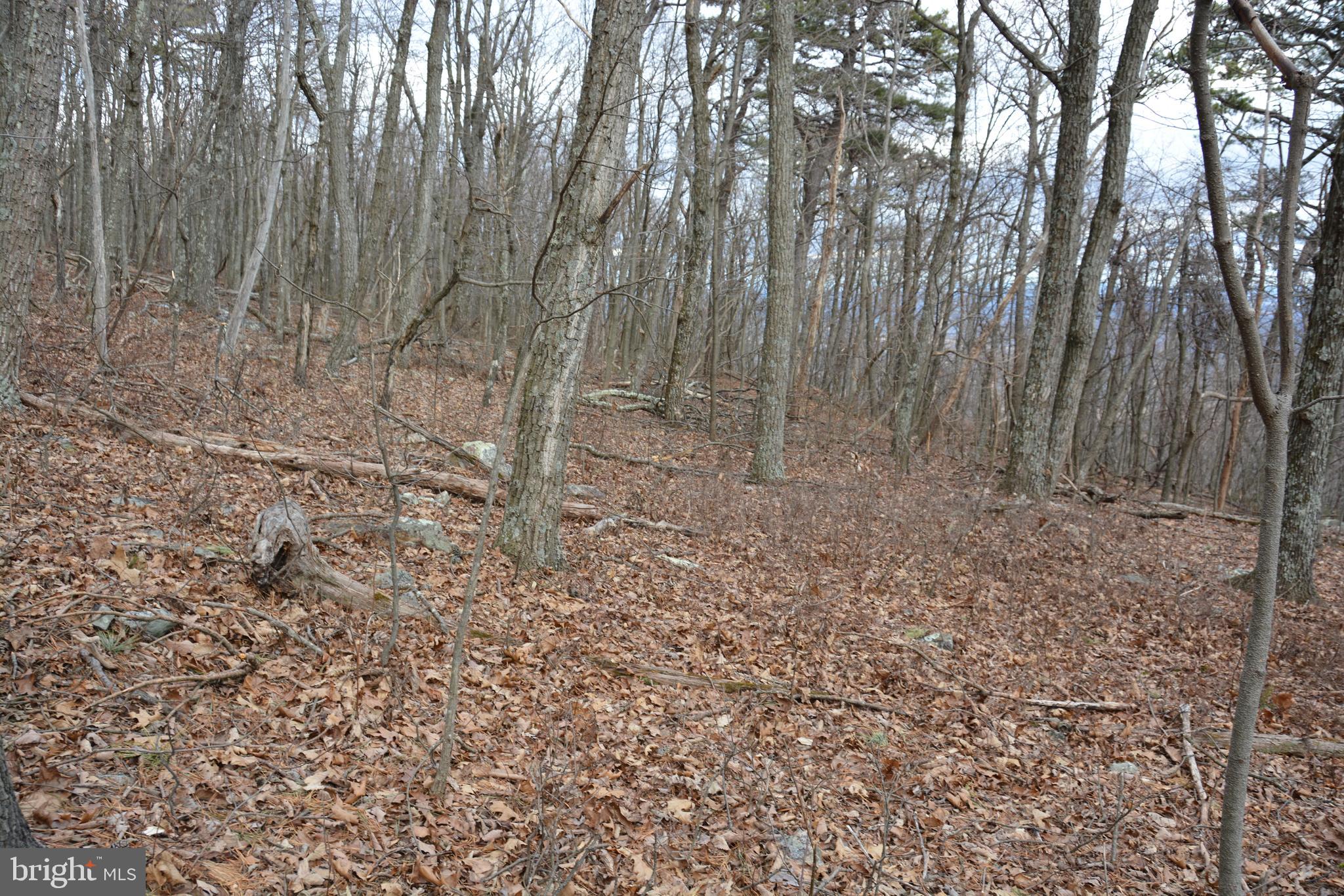 ROCKWOOD TRAIL 49.61 ACRES