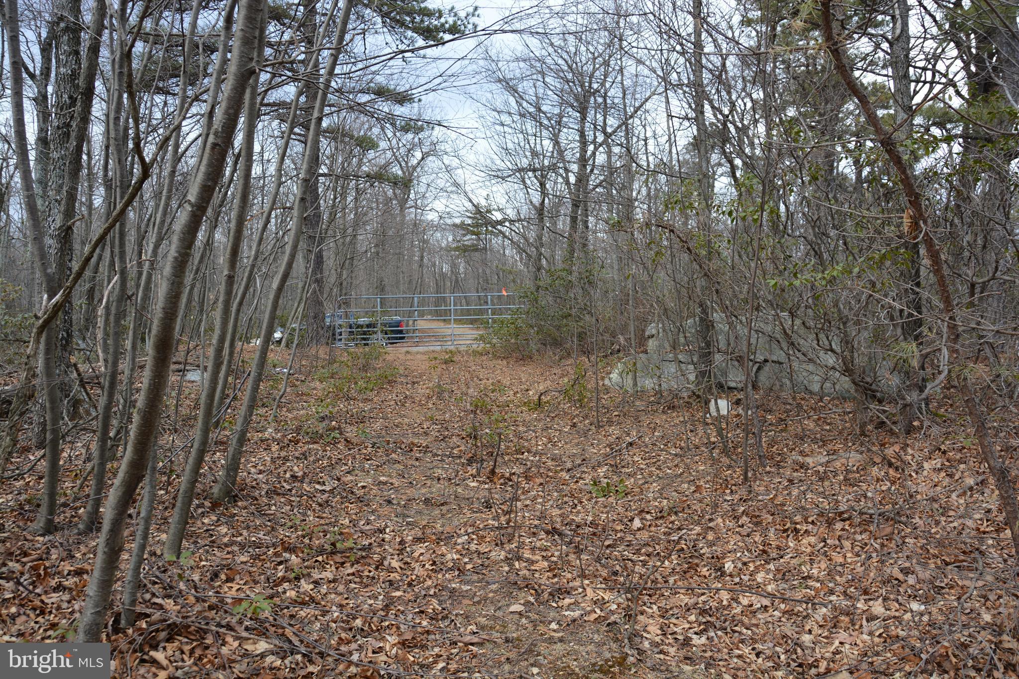 ROCKWOOD TRAIL 49.61 ACRES