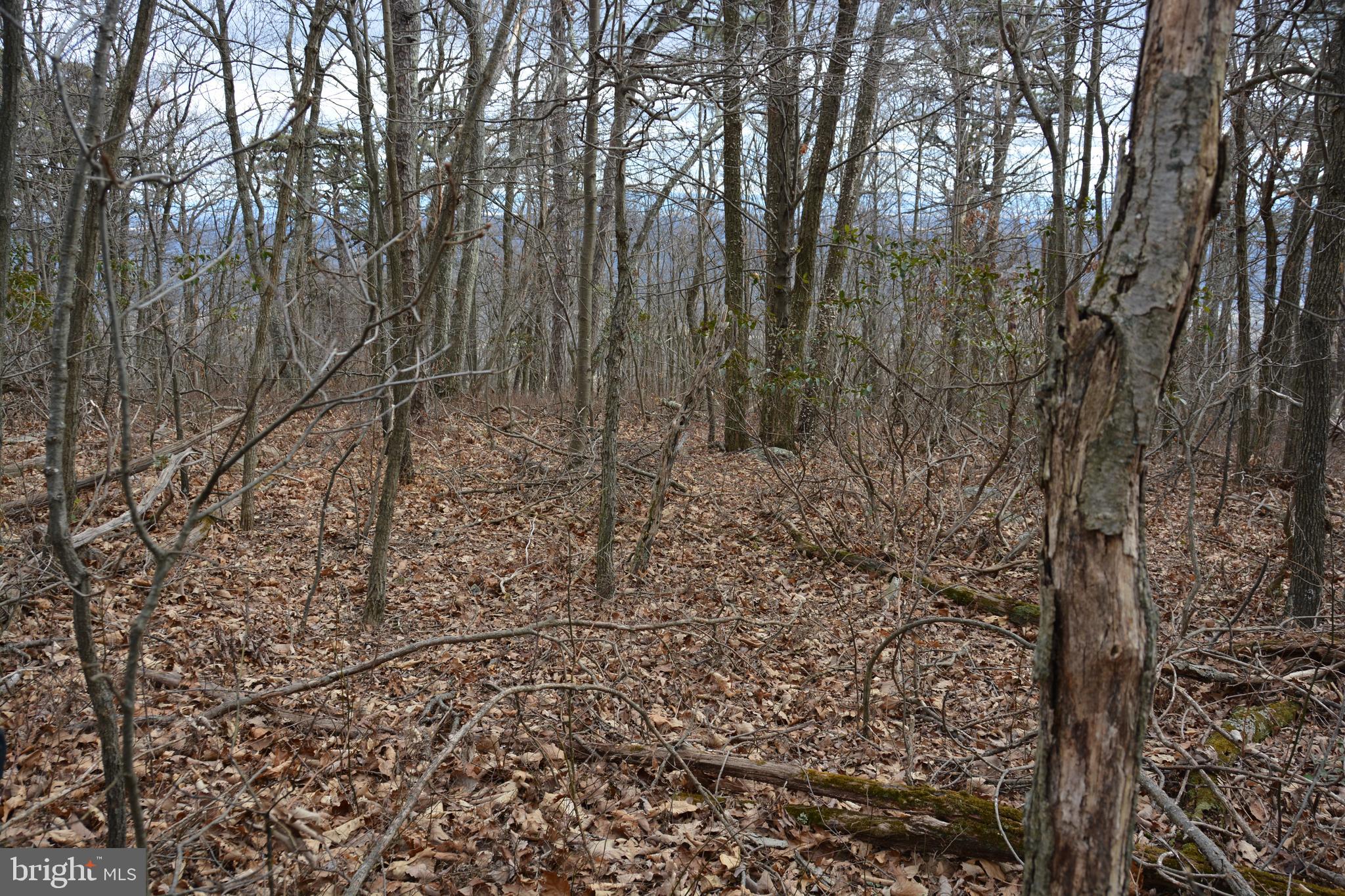 ROCKWOOD TRAIL 49.61 ACRES