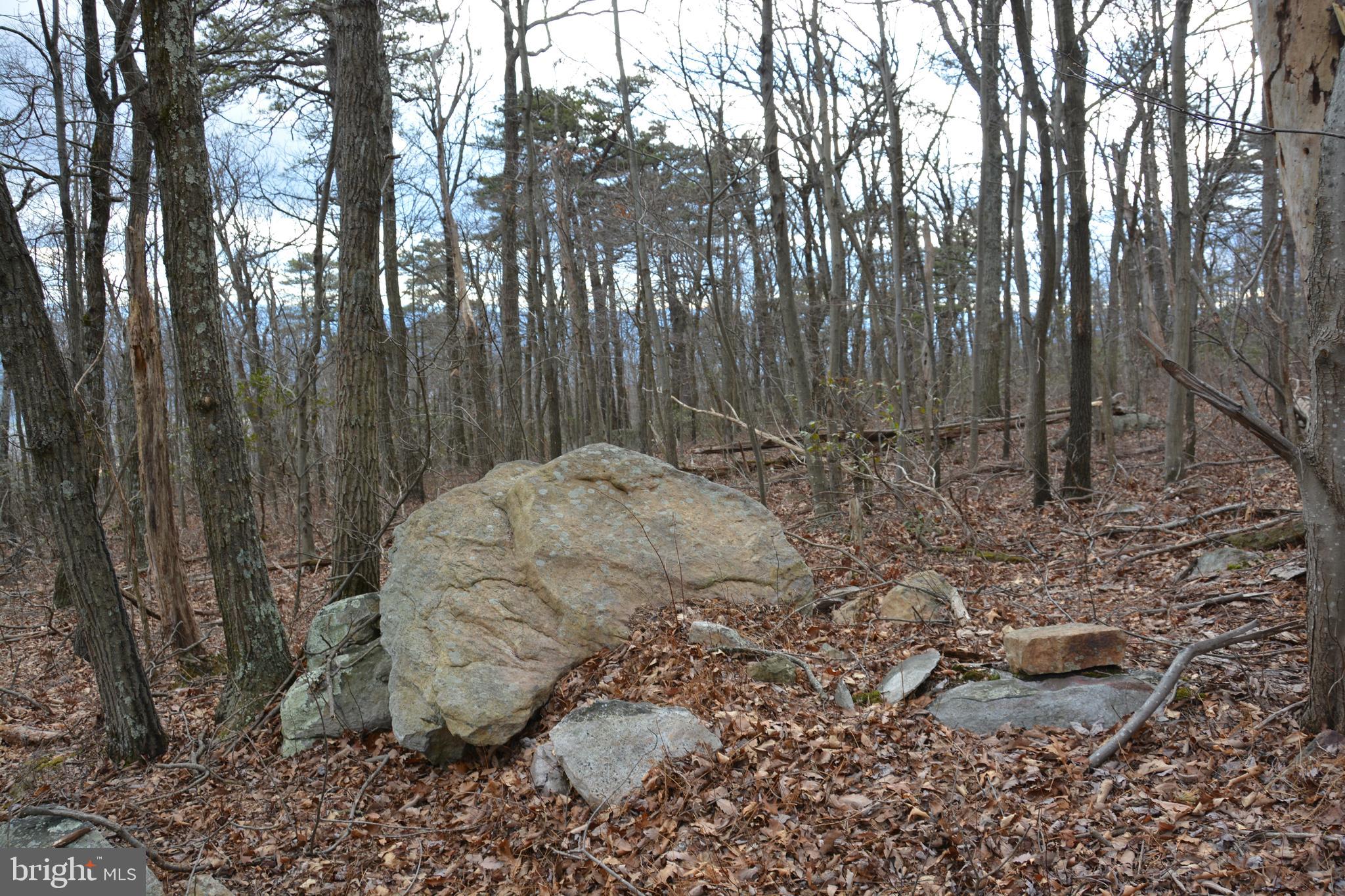 ROCKWOOD TRAIL 49.61 ACRES