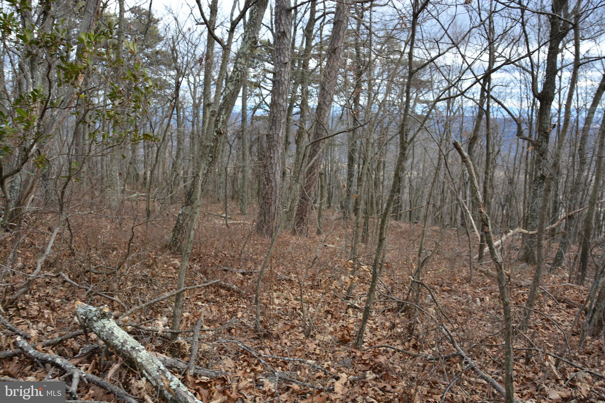 ROCKWOOD TRAIL 49.61 ACRES