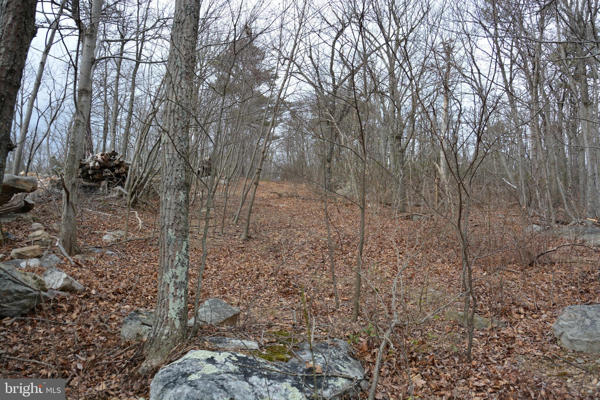 ROCKWOOD TRAIL 49.61 ACRES