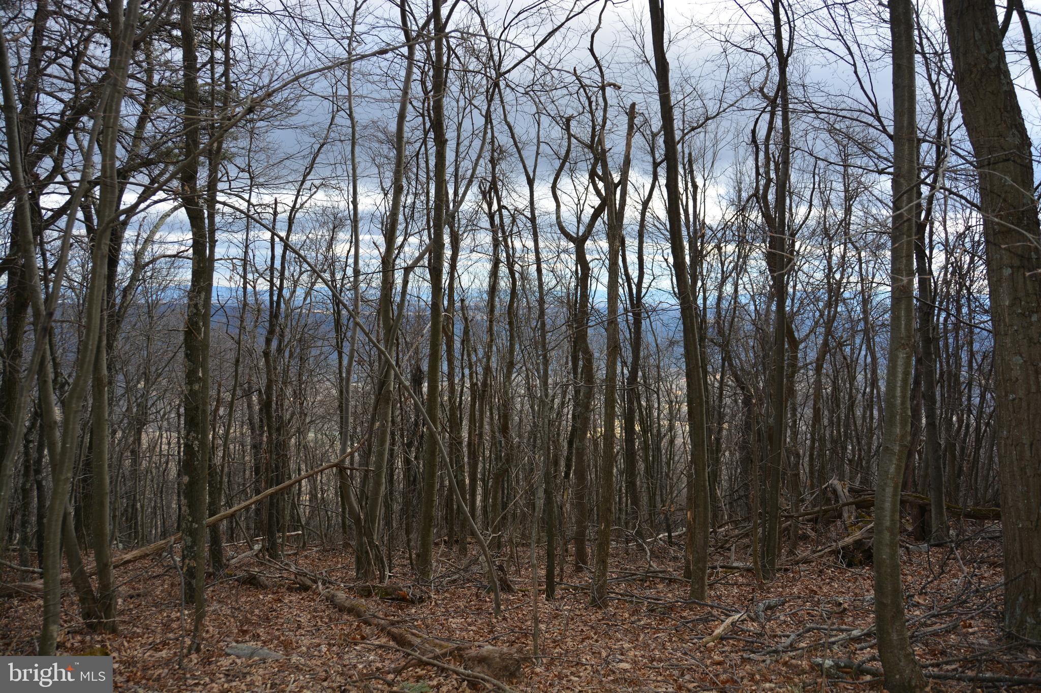 ROCKWOOD TRAIL 49.61 ACRES