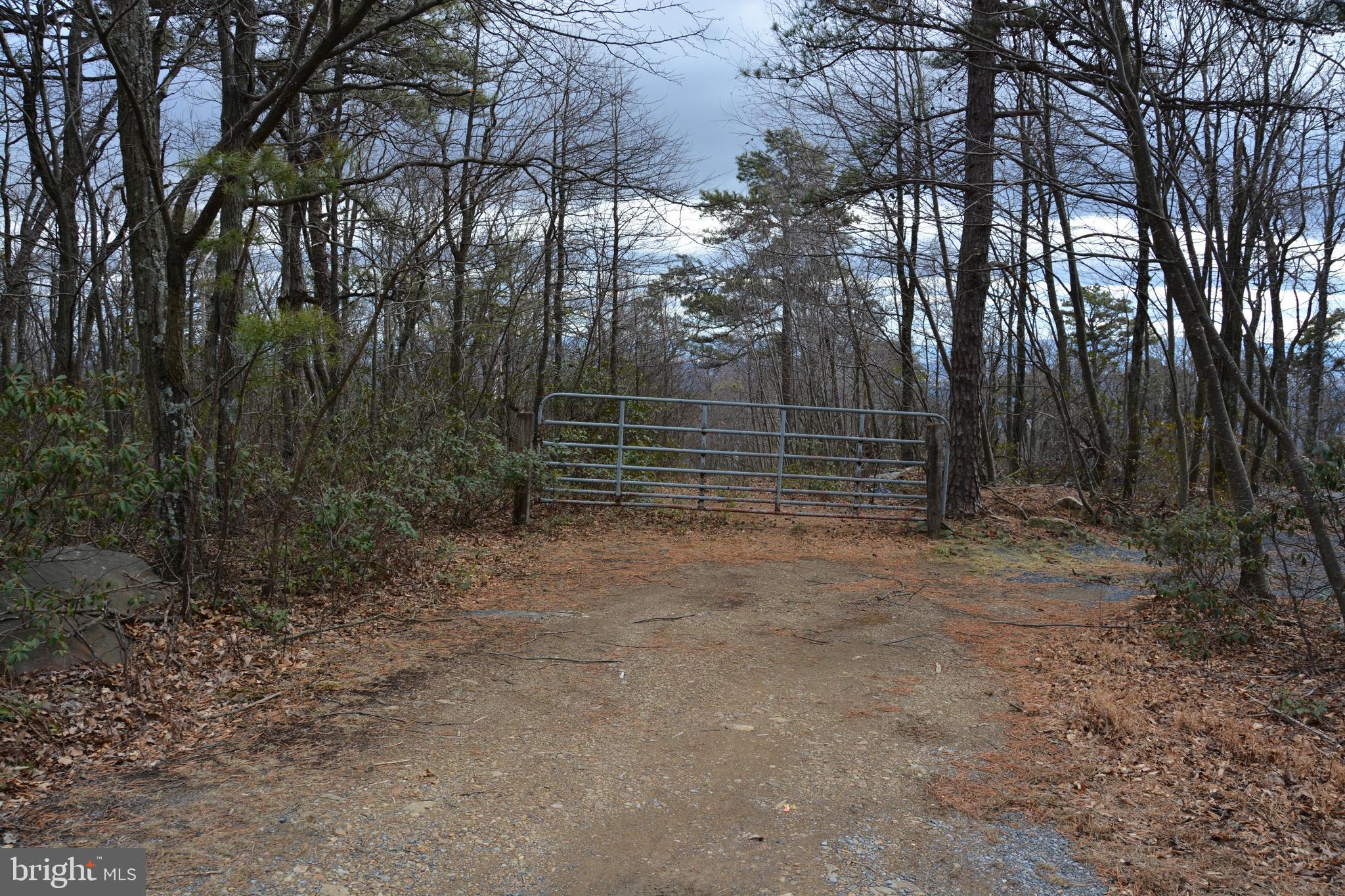 ROCKWOOD TRAIL 49.61 ACRES