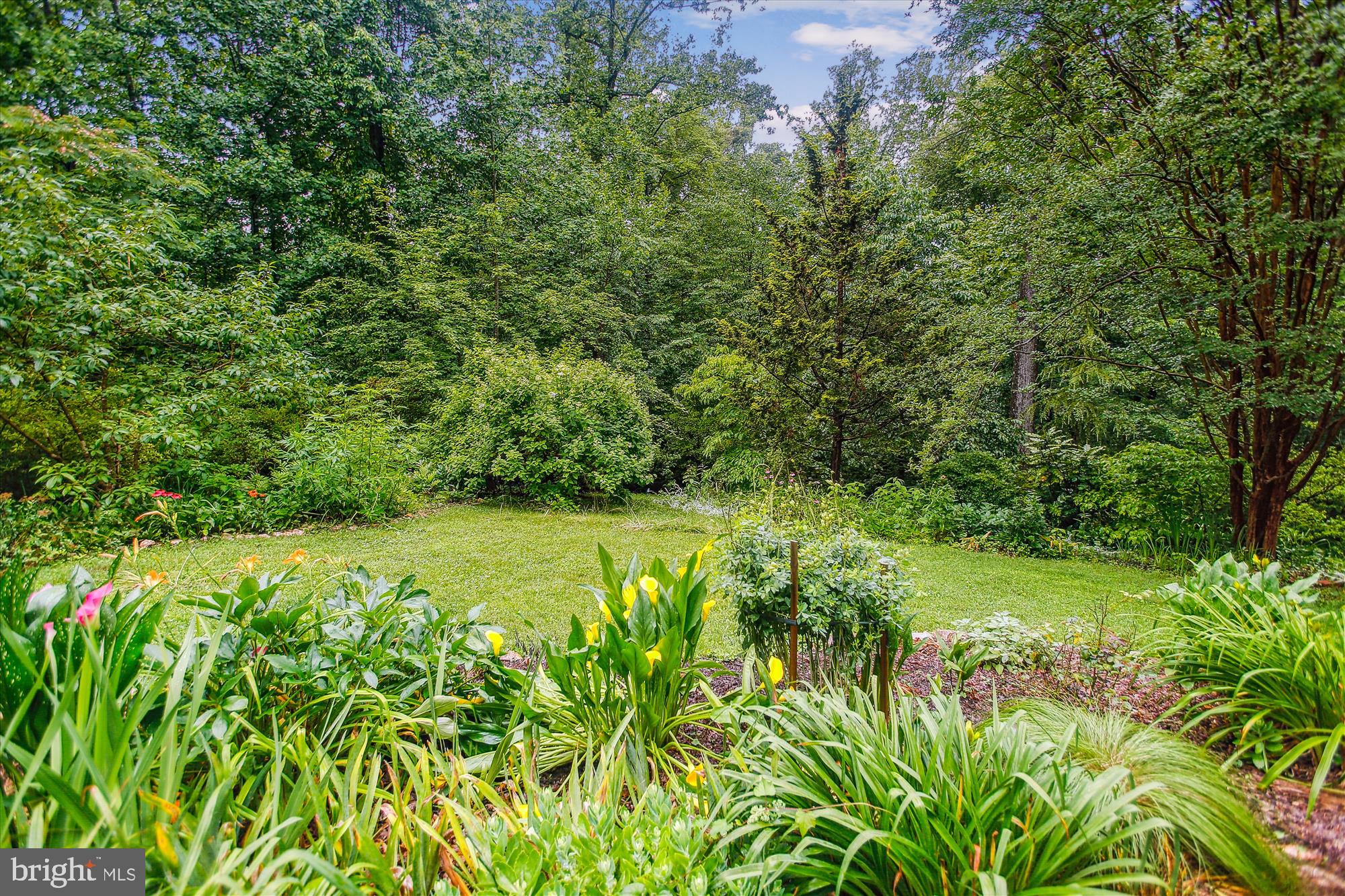 6662 VAN WINKLE DRIVE