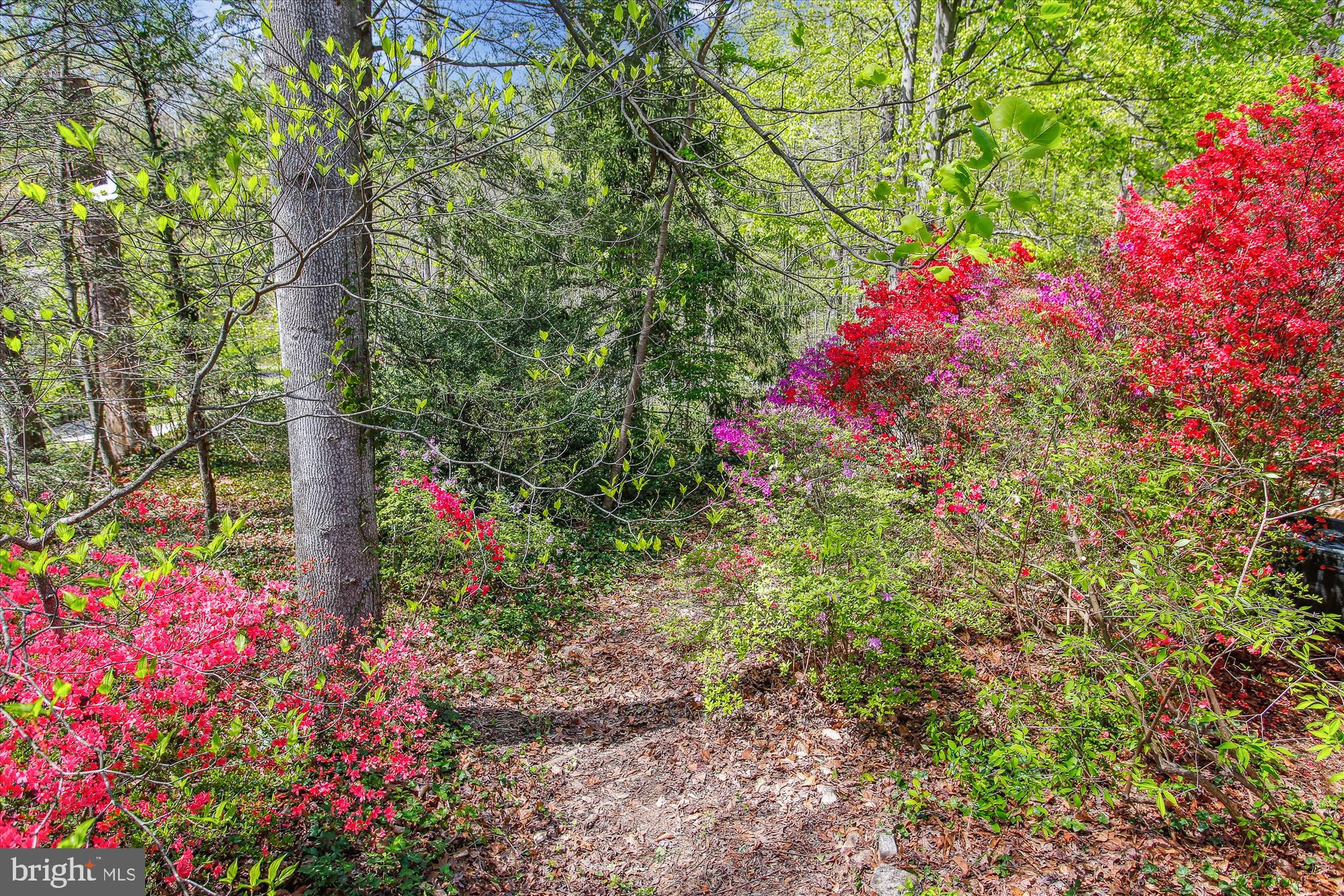 6662 VAN WINKLE DRIVE