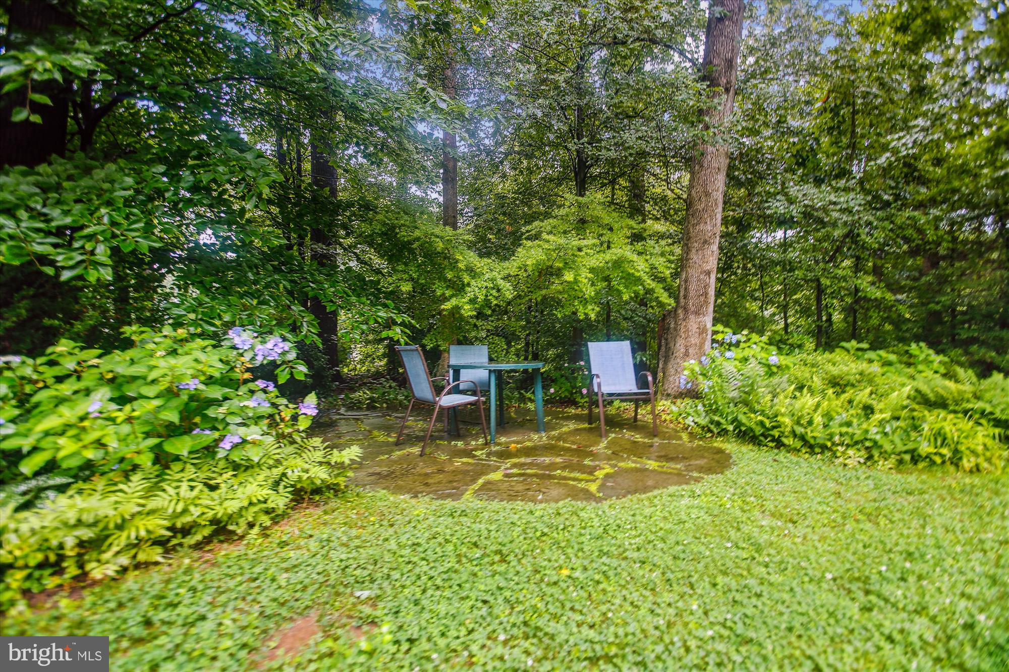 6662 VAN WINKLE DRIVE