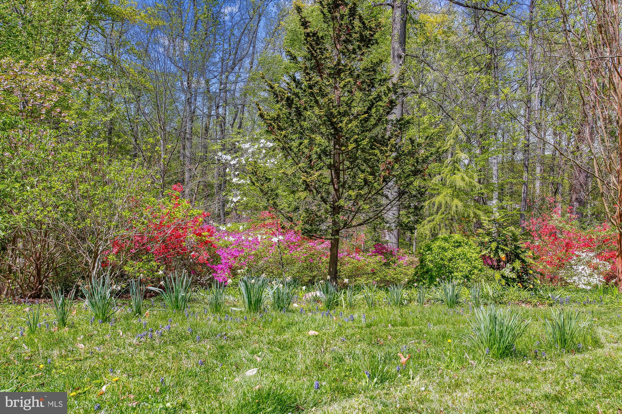 6662 VAN WINKLE DRIVE