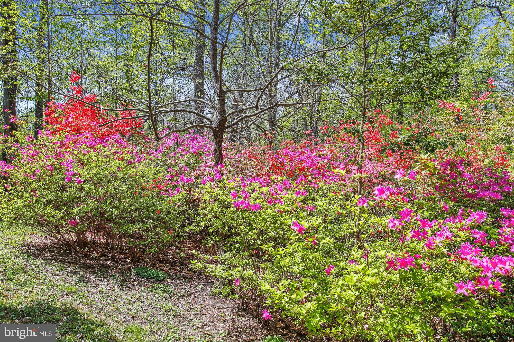 6662 VAN WINKLE DRIVE